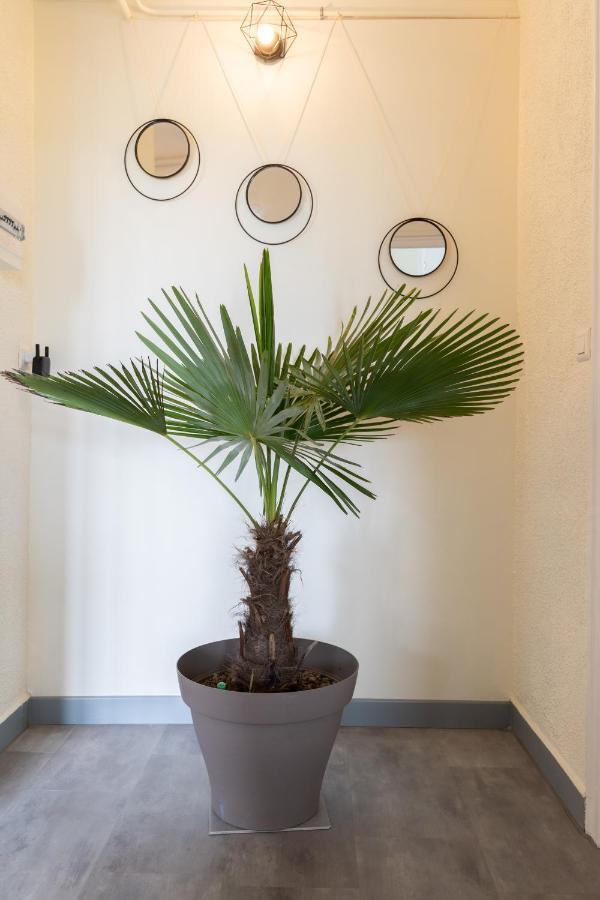 L'Appartement A Cardaillac Rodez Exterior photo